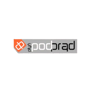 Partnerzy medialni